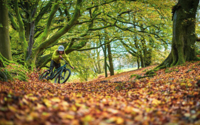 Combe House Hotel – 2 Day ‘Ride the Quantocks’ MTB package