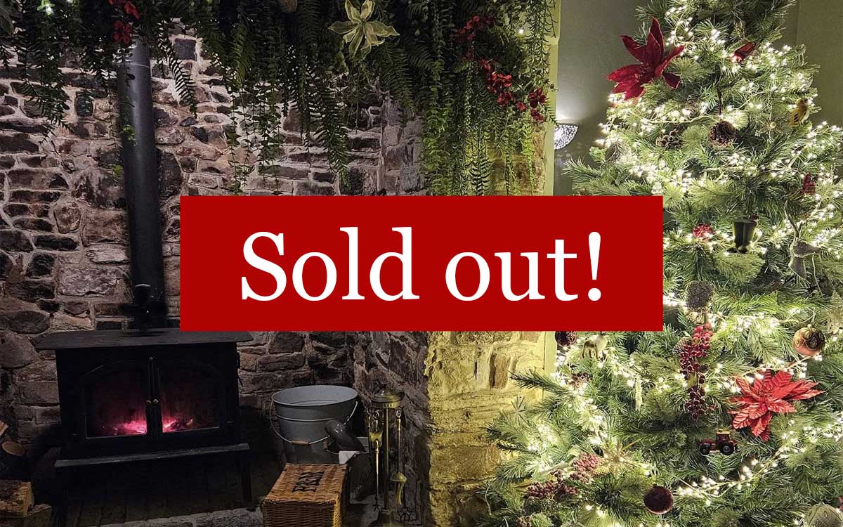Christmas Packages wiht sold out text over the image of a christmas tree next to a log burner